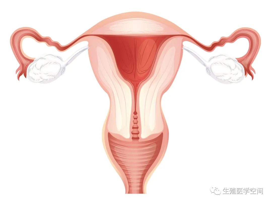 促排卵方案分类详解，怀孕困难的姐妹一定要看！
