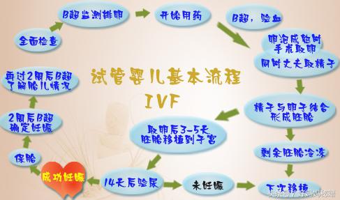 丙肝可以做试管婴儿