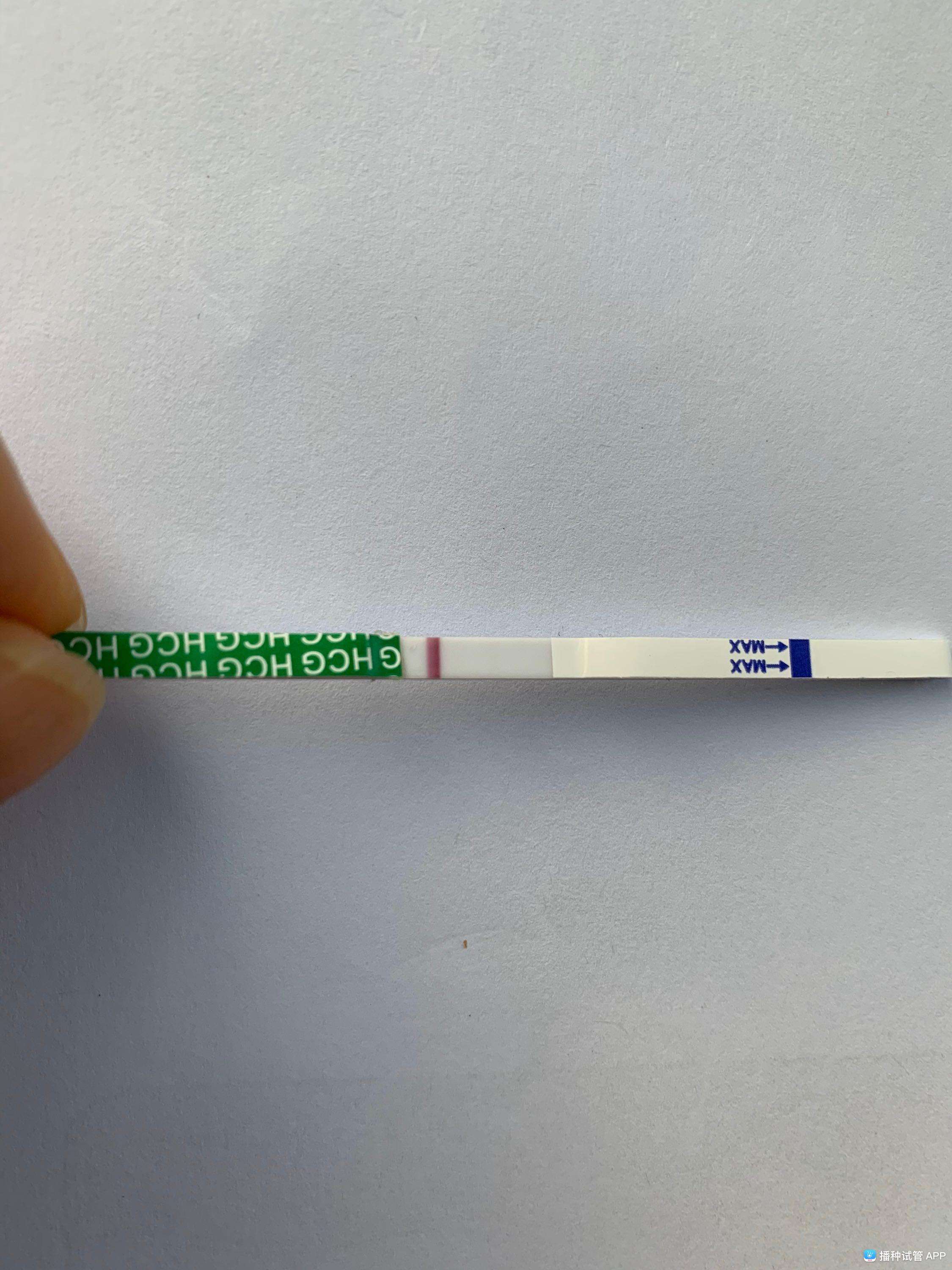 试管婴儿多久移植(试管婴儿取卵多久移植)