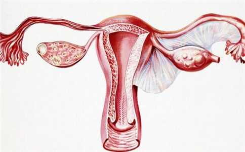 专家解答卵巢储备功能下降、卵巢反应差患者是