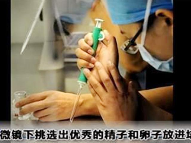 试管婴儿的痛苦 试管婴儿的痛苦