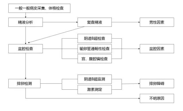 在医院做试管婴儿需要多少钱