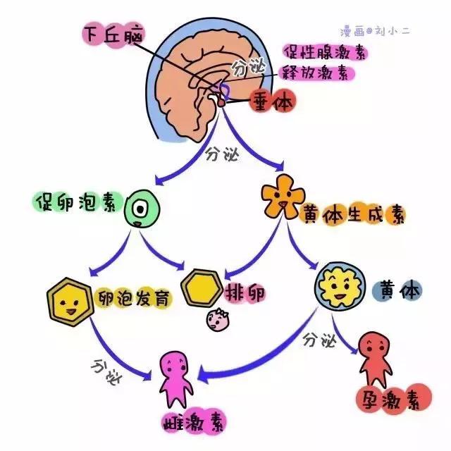 试管婴儿江苏省人民医院