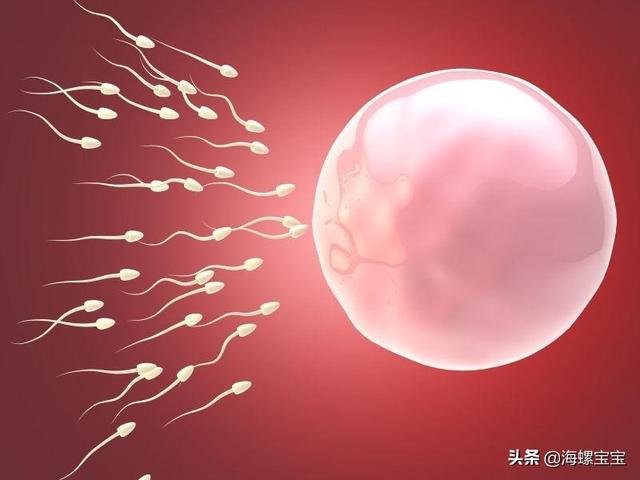 试管婴儿排卵针怎么打 试管婴儿排卵针怎么打