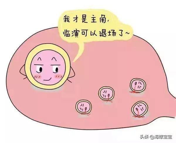 试管婴儿长方案短方案 试管婴儿长方案短方案