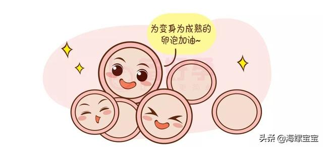 试管婴儿长方案短方案 试管婴儿长方案短方案