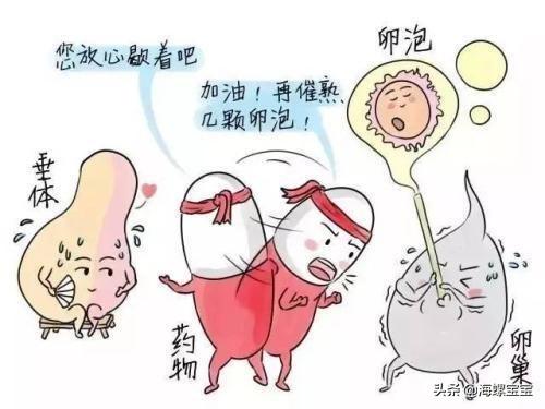 试管婴儿长方案短方案 试管婴儿长方案短方案