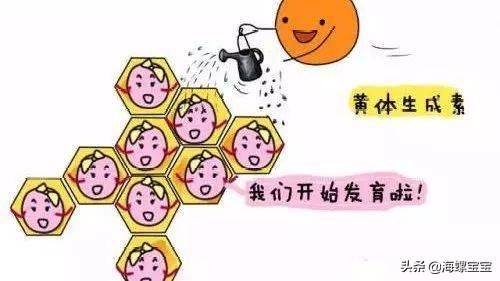 试管婴儿长方案短方案 试管婴儿长方案短方案