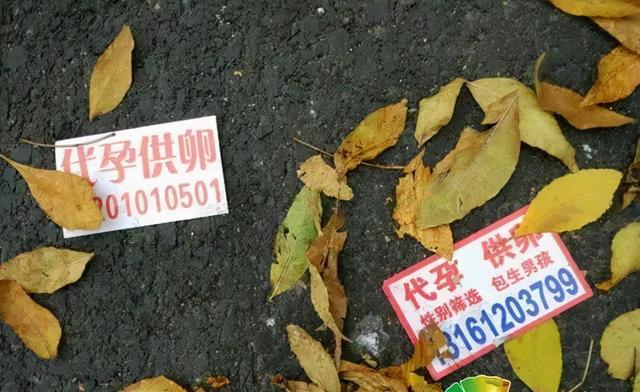试管婴儿招聘 试管婴儿招聘