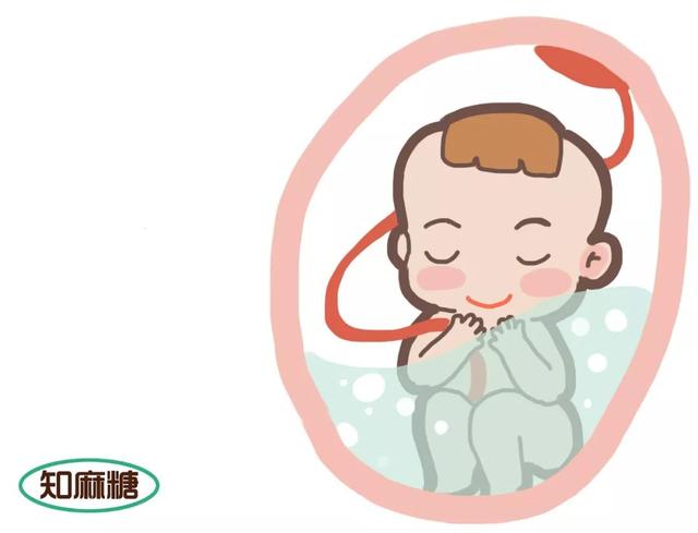 试管婴儿内容 试管婴儿内容