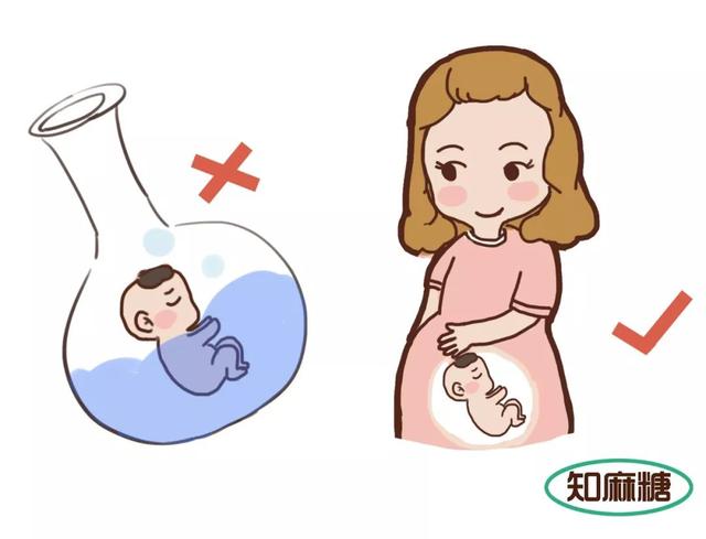试管婴儿内容 试管婴儿内容