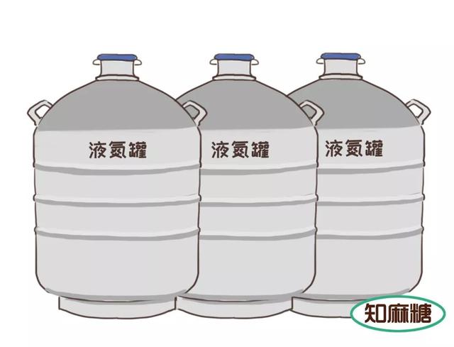 试管婴儿内容 试管婴儿内容