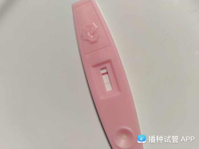 试管婴儿移植后腰酸(试管婴儿移植后要注意什么)