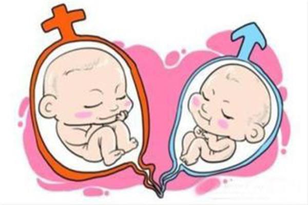 试管婴儿可以选择生男生女吗(几代试管婴儿可以选择性别)