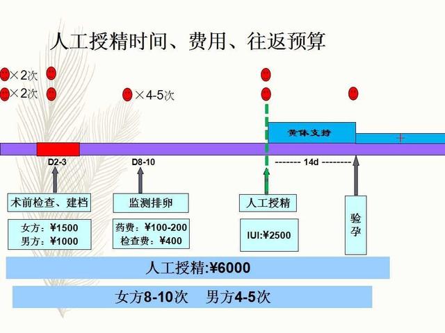 试管婴儿时间明细