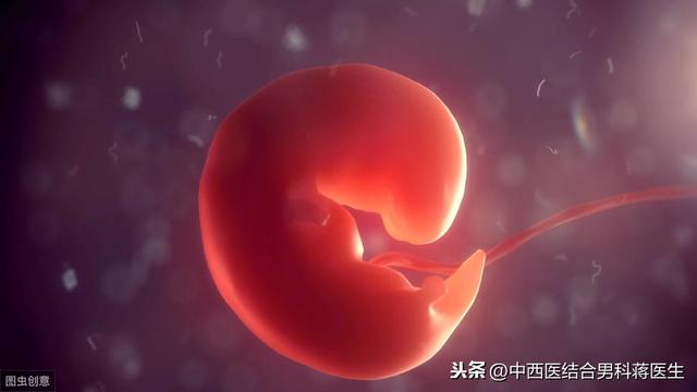 试管婴儿移植生化 试管婴儿移植生化