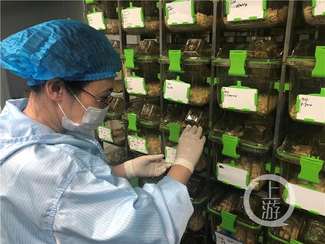 妇幼试管婴儿的过程 妇幼试管婴儿的过程
