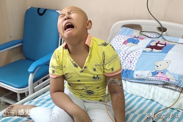 沈阳204医院试管婴儿怎么样