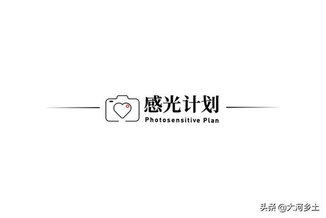 沈阳204医院试管婴儿怎么样