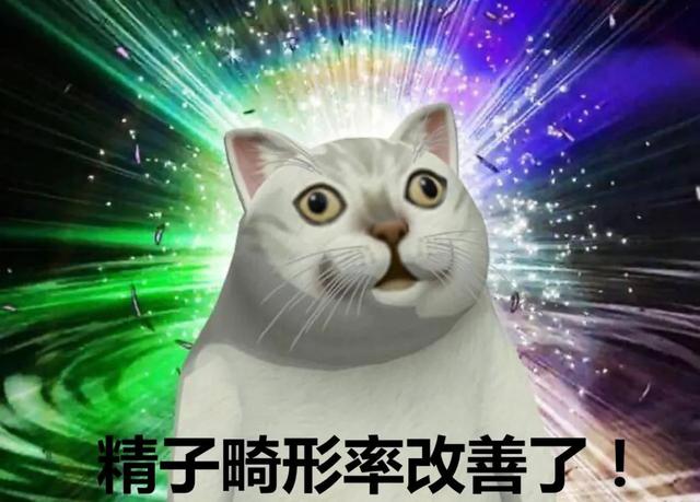 精子畸形试管婴儿 精子畸形试管婴儿