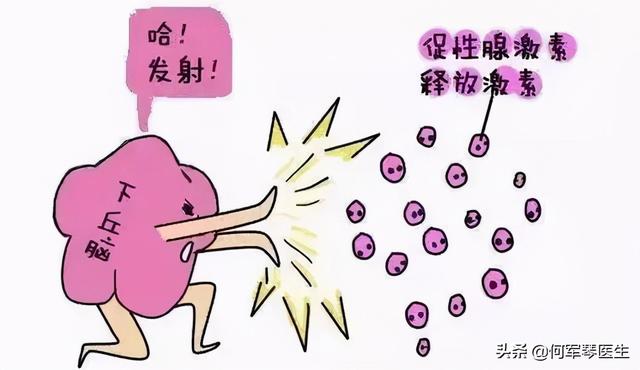 阳试管婴儿吗 阳试管婴儿吗
