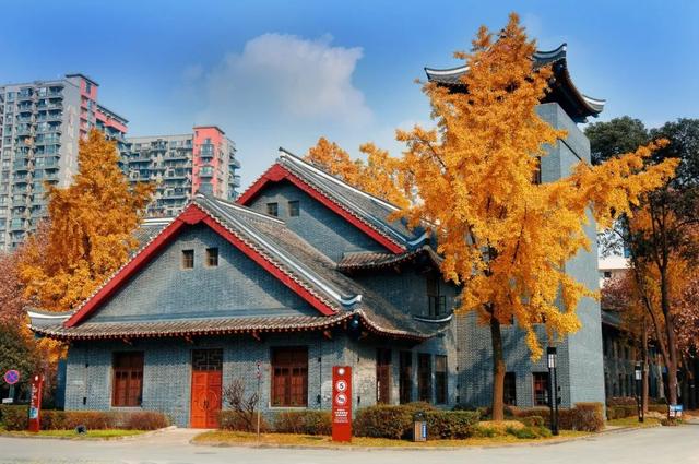 成都西囡试管婴儿 成都西囡试管婴儿