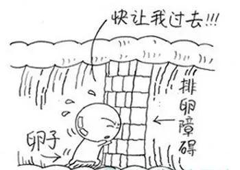 试管婴儿是合法的吗 试管婴儿是合法的吗