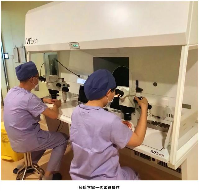 成功的试管婴儿 成功的试管婴儿