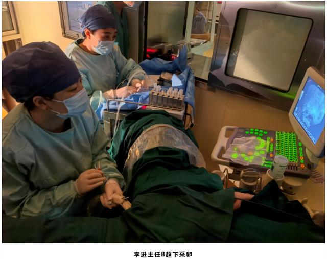 成功的试管婴儿 成功的试管婴儿
