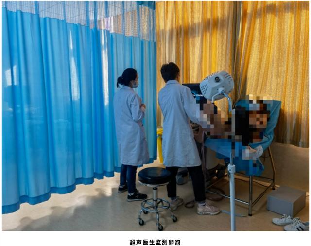成功的试管婴儿 成功的试管婴儿