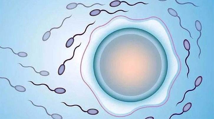 40岁试管婴儿试管婴儿40岁以上成功
