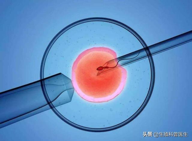 西南医院试管婴儿 西南医院试管婴儿
