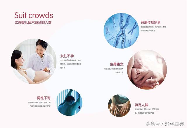 试管婴儿安全