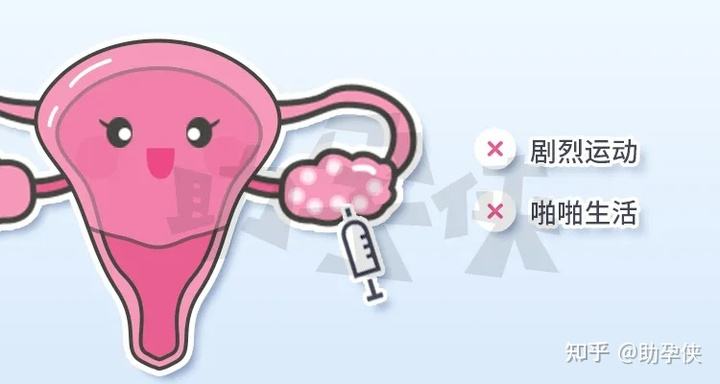 试管婴儿促排期间可以同房吗(试管打促排卵针期间可以同房吗)