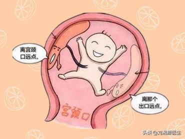 试管婴儿打瑞白的作用 试管婴儿打瑞白的作用