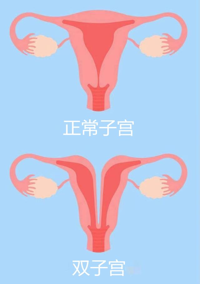 子宫试管婴儿(内膜多少适合移植)