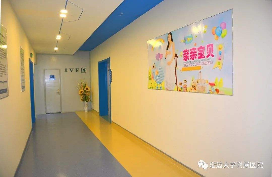 试管婴儿好的医院是哪家的简单介绍