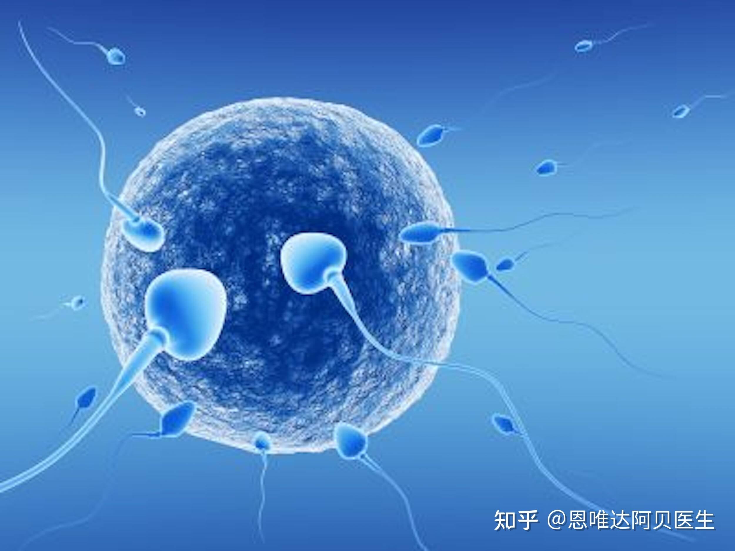 一代试管婴儿技术试管婴儿第一代