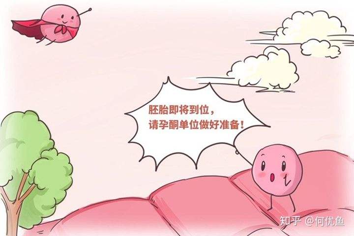 试管婴儿移植后可以吃虾吗(移植后一日三餐食谱)