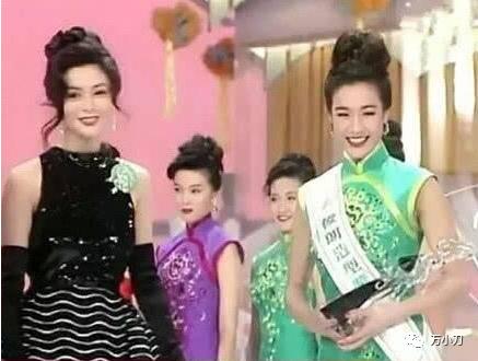 杨采妮试管婴儿 杨采妮试管婴儿