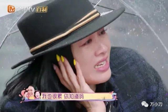 杨采妮试管婴儿 杨采妮试管婴儿
