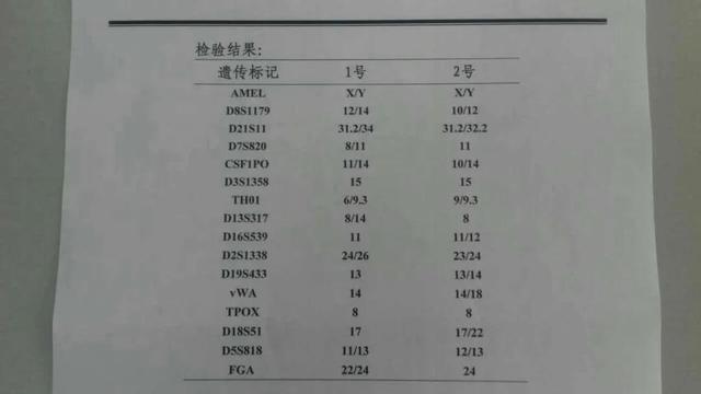 试管婴儿dna 试管婴儿dna