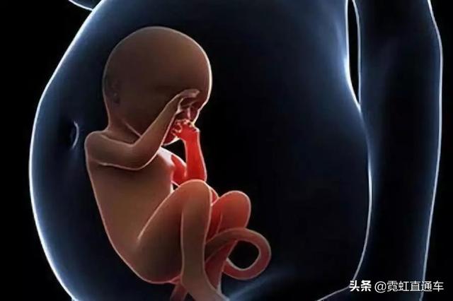 日本试管婴儿 日本试管婴儿
