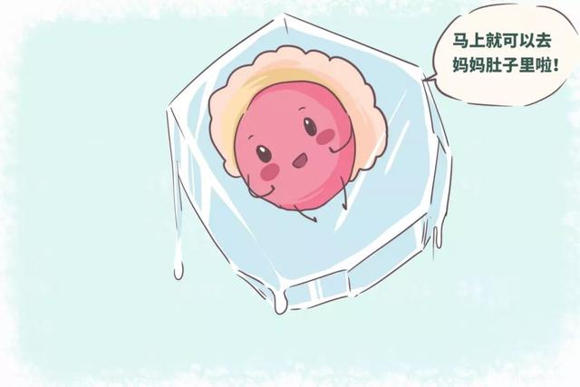 试管婴儿的用什么药 试管婴儿的用什么药