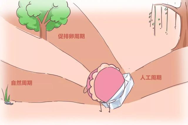 试管婴儿的用什么药 试管婴儿的用什么药
