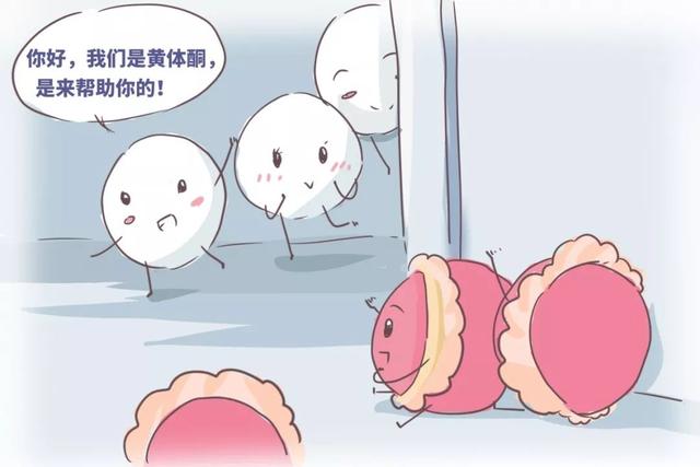 试管婴儿的用什么药 试管婴儿的用什么药