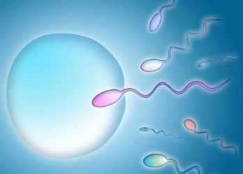 试管婴儿是用谁的精子的简单介绍