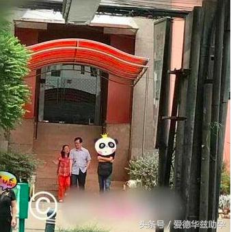 国内试管婴儿与泰国 国内试管婴儿与泰国