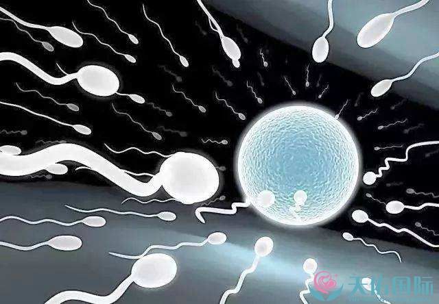 妇幼试管婴儿的成功率(伊犁妇幼保健院试管婴儿成功率高吗)