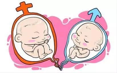 试管婴儿决定性别试管婴儿费用大约多少